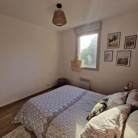 Appartement Cosy Oloron, Aux Pieds Des Pyrenees Et De L'Atlantique! Extérieur photo